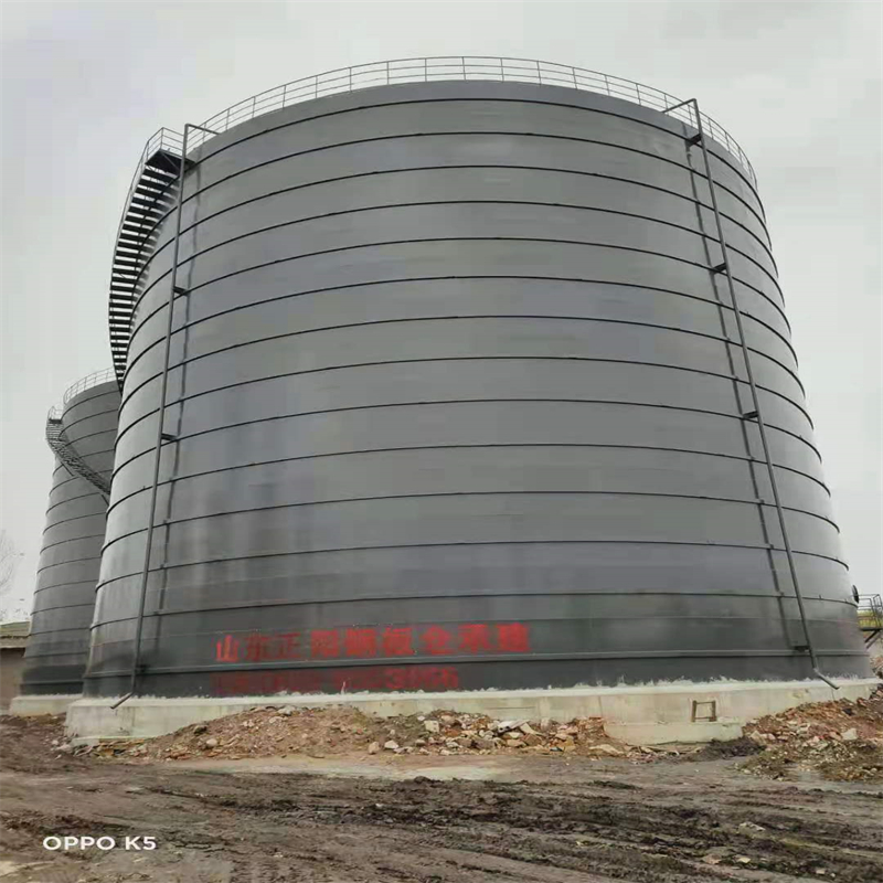 昌洒镇3万吨大型钢板库