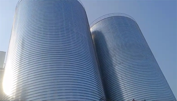 昌洒镇2座混凝土高架卷板仓